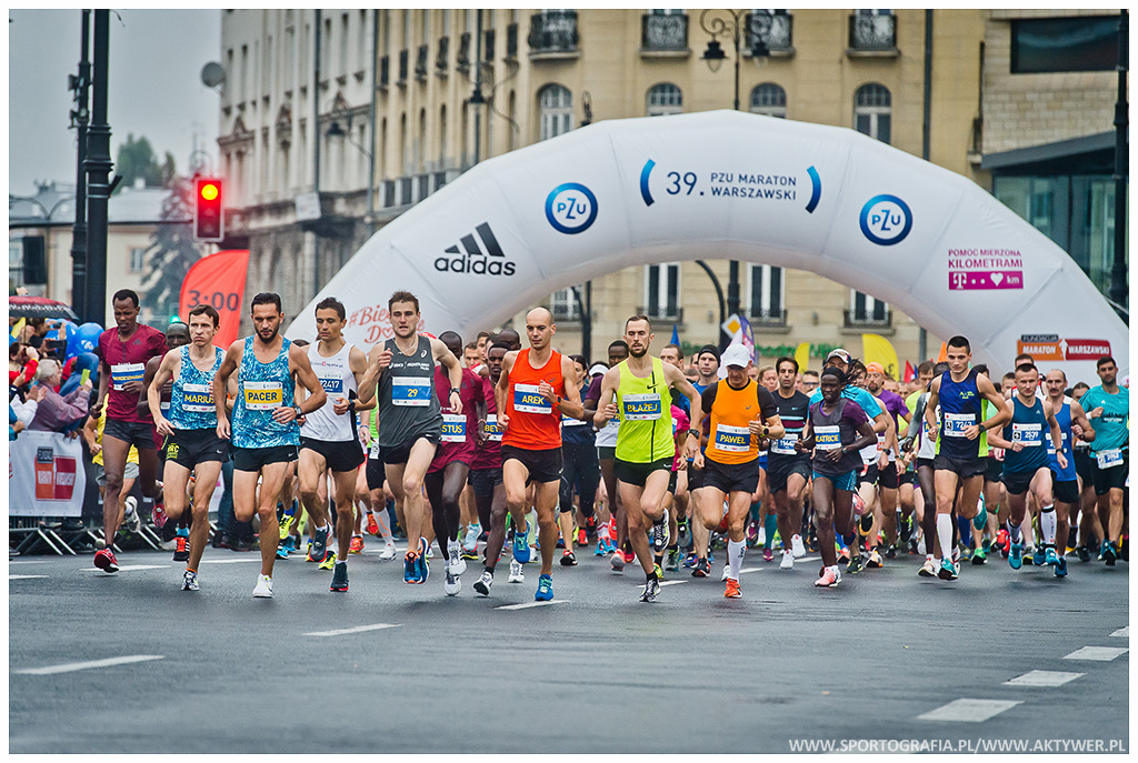 (c) Wszelkie prawa zastrzeżone, fot: www.sportografia.pl www.aktywer.pl