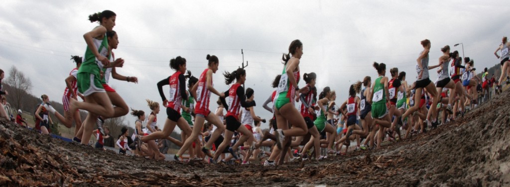 Mistrzostwa Świata w Biegach Przełajowych. Bydgoszcz 2010. Fot. Katarzyna Bogusiewicz