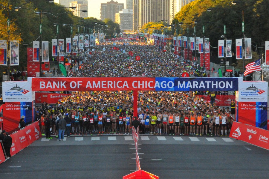 Chicago Marathon 2013