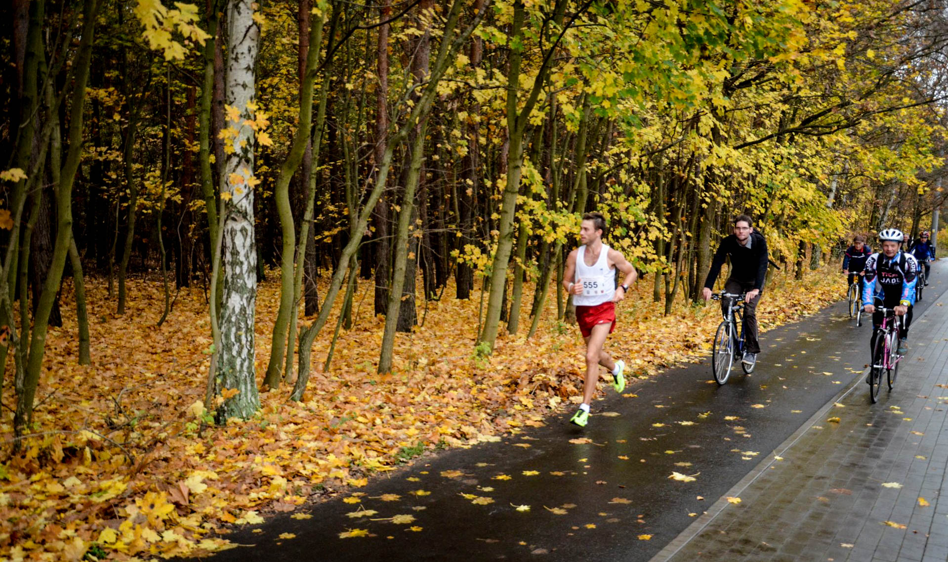 Maraton Toruński 2013-2