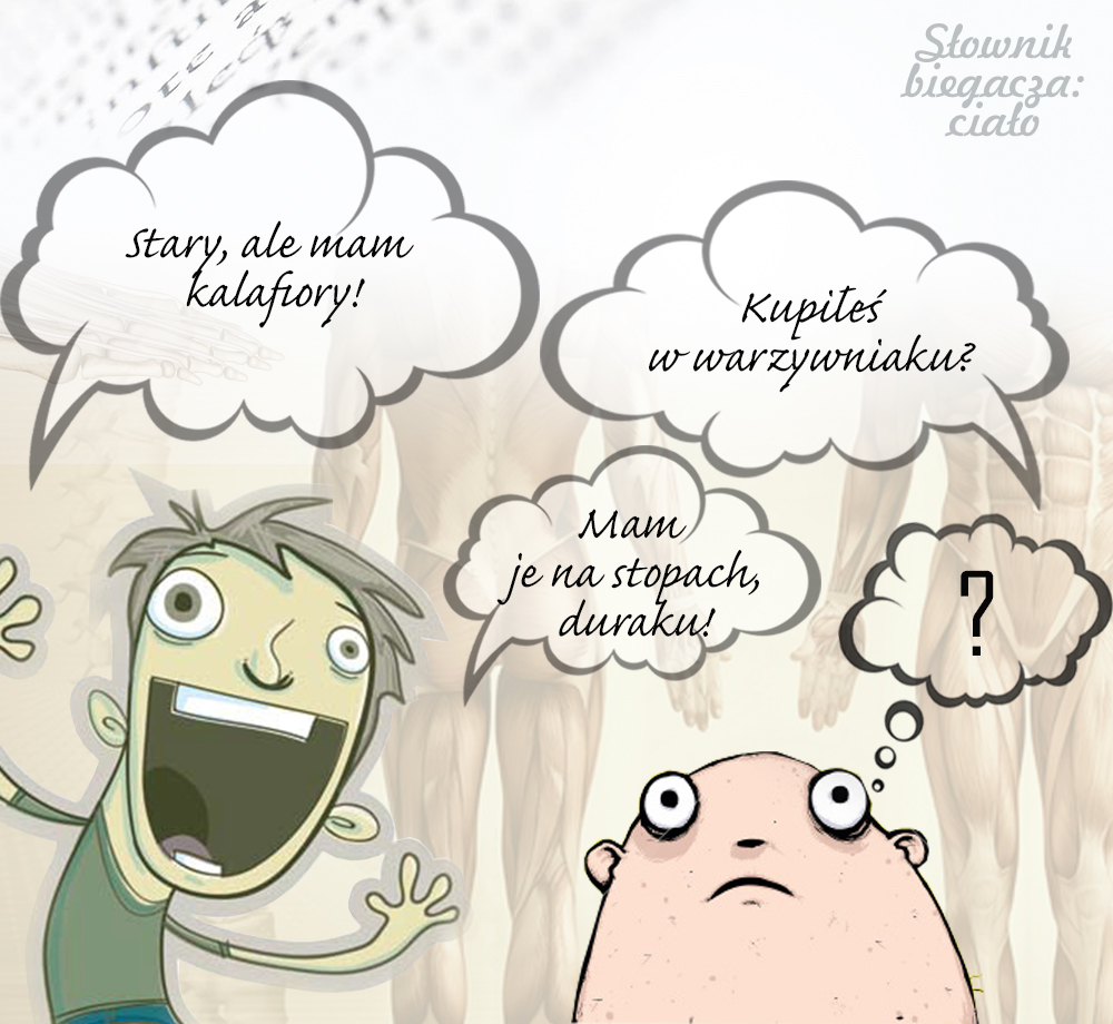 Slownik biegacza4 CIALO BIEGACZA