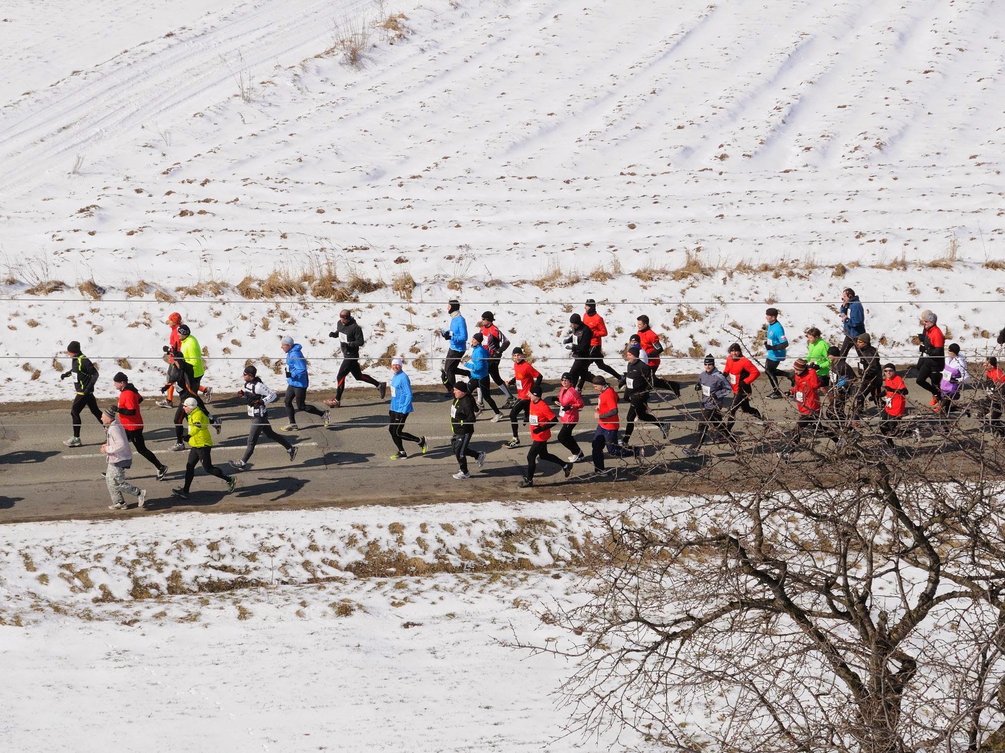 Półmaraton Ślężański 2013 Fot. Agata Niemotko 01