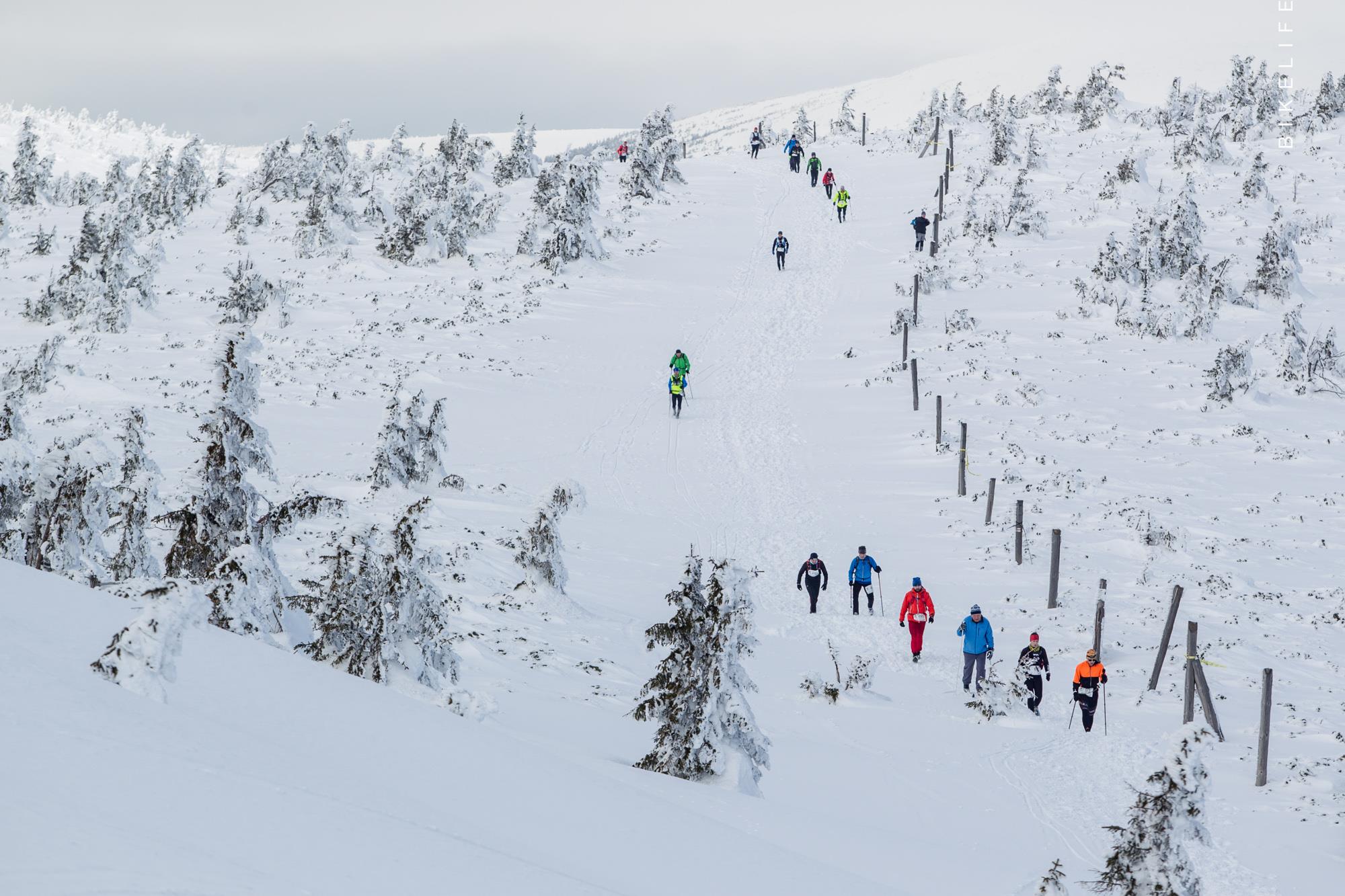 Zimowy Ultramaraton Karkonoski 2015. Fot. BikeLife 01