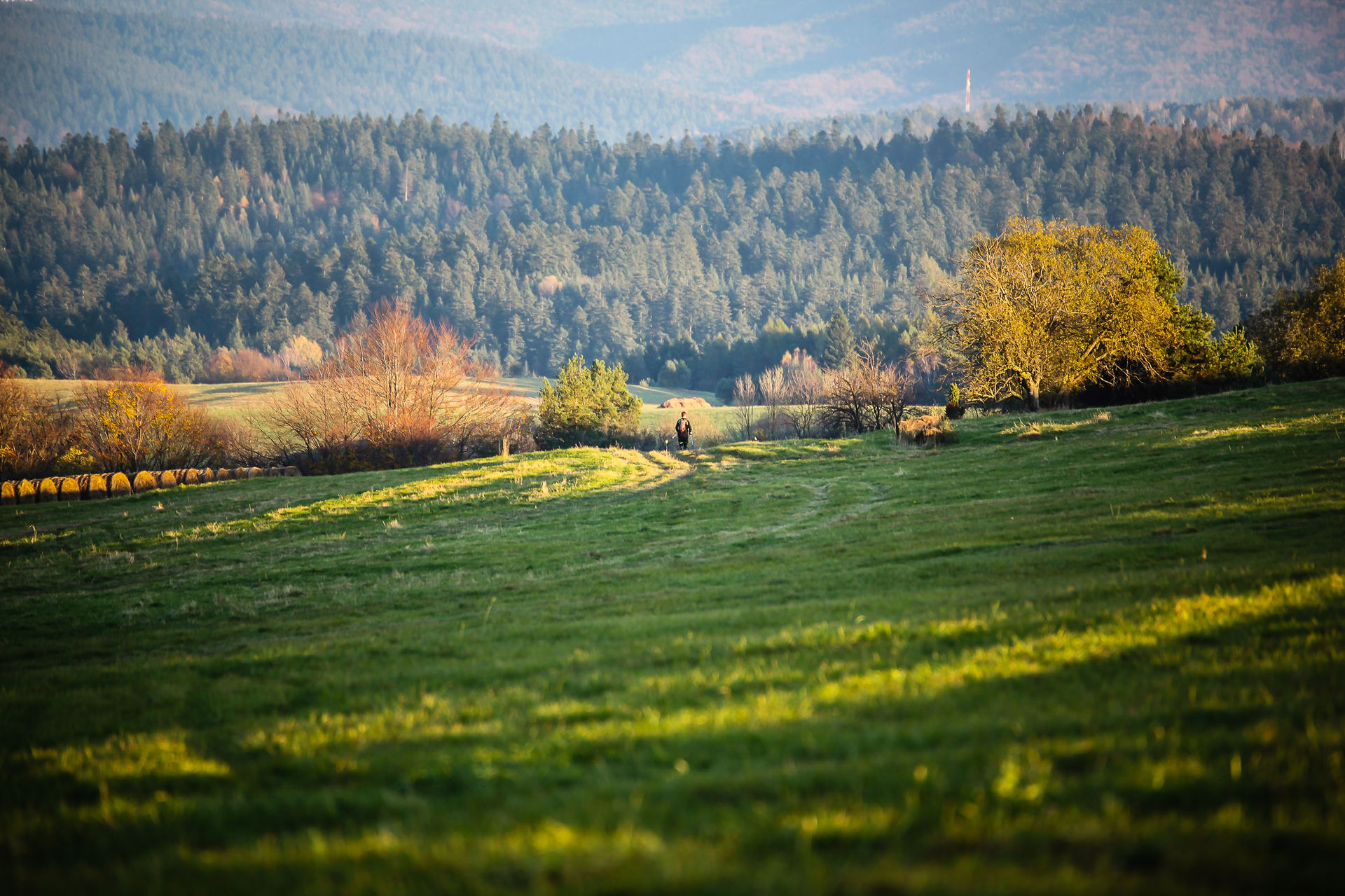 Łemkowyna Ultra Trail