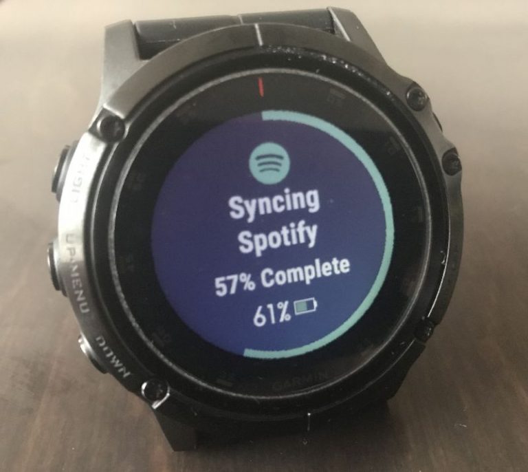 spotify fenix 5x