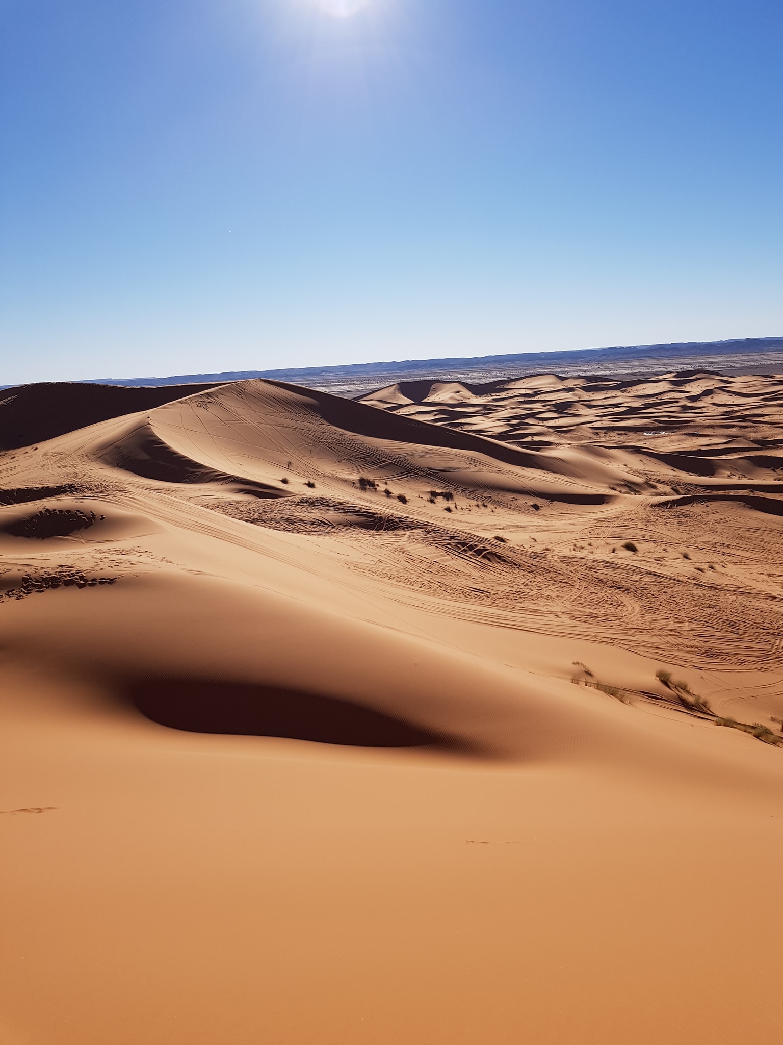 sahara_3_2019