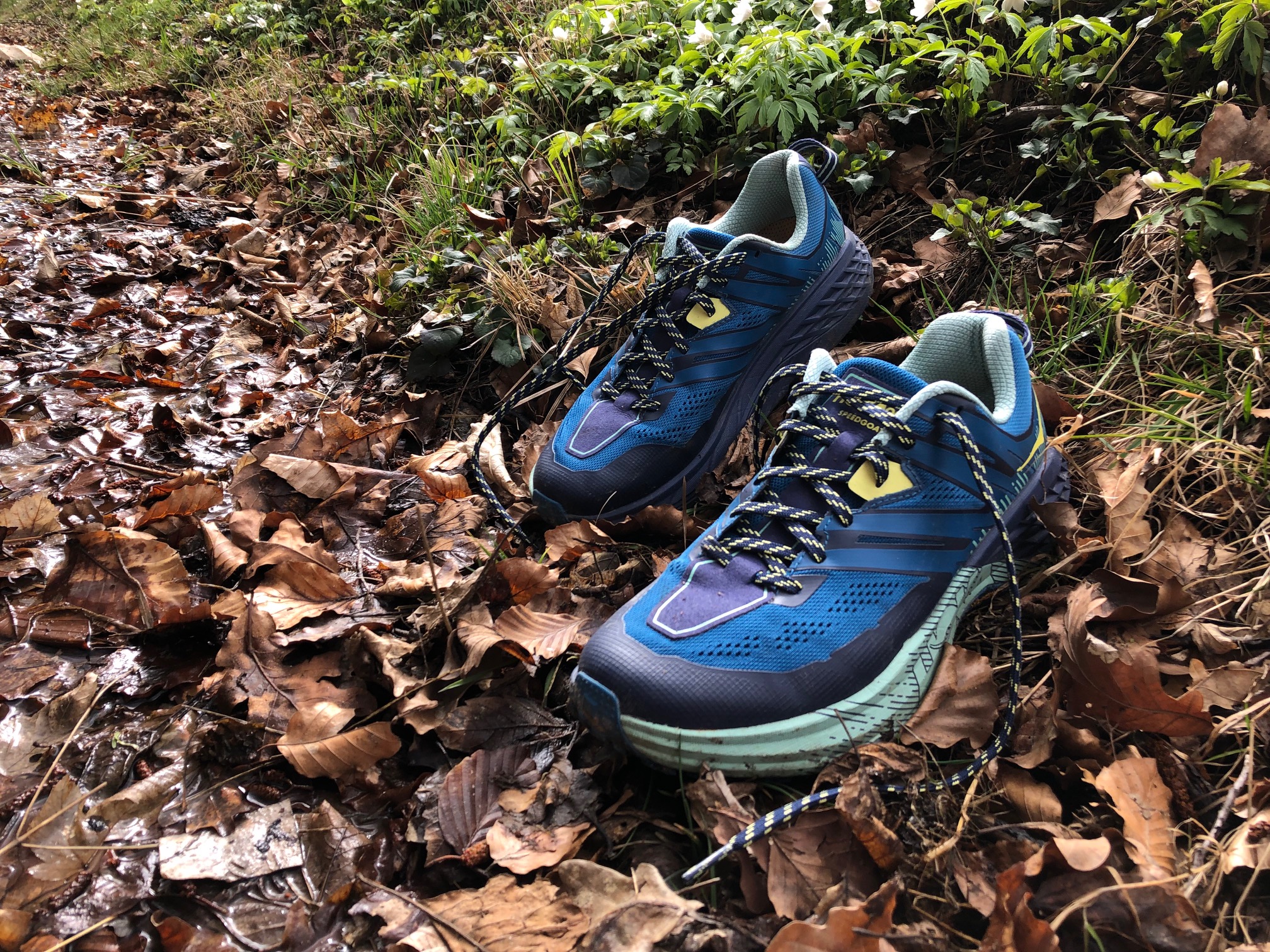 Hoka Speedgoat 3 front