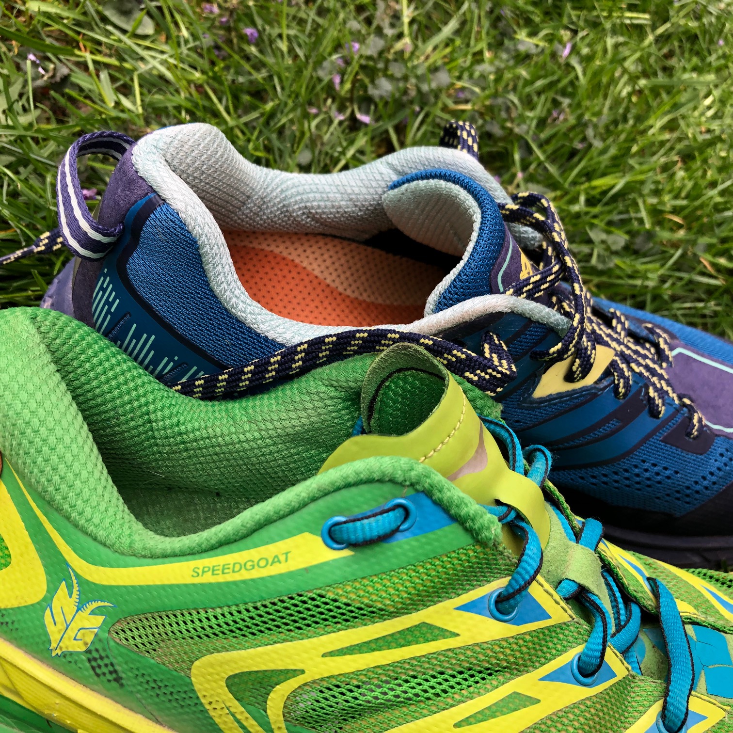 Hoka speedgoat 3 język